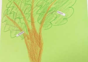 drzewo Kacperka Mi.